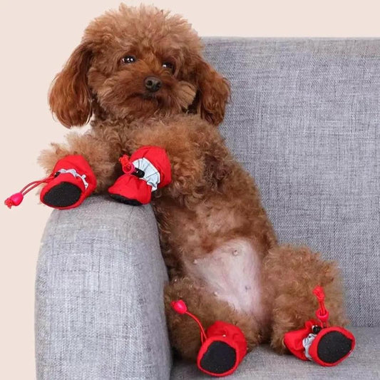 Cat Socks, 4 Counts/Set anti Slip Dog Socks, Pet Foot Covers, Pet Paw Covers, Pet Paw Protector Socks for Outing Walking Hiking & Running, Cat Stuff, Dog Stuff, Dog Supplies Pet Supplies